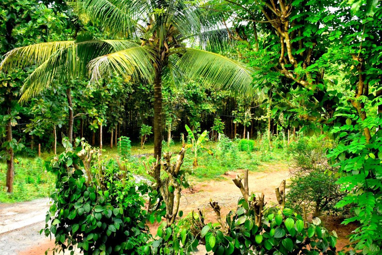 Wild Heaven Udawalawe Hotel Exterior photo